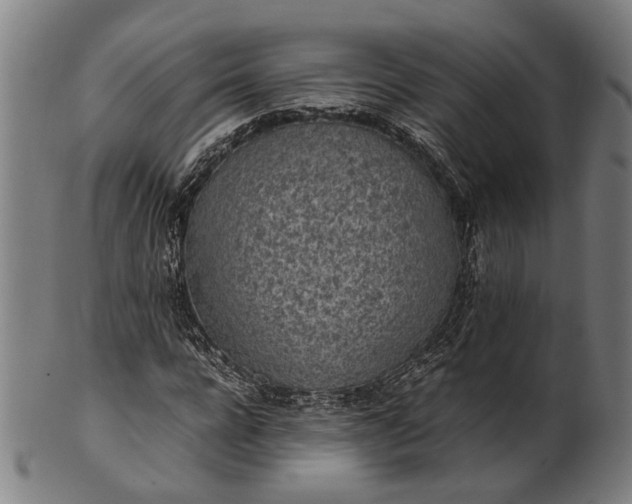 X0000101220920200807111053