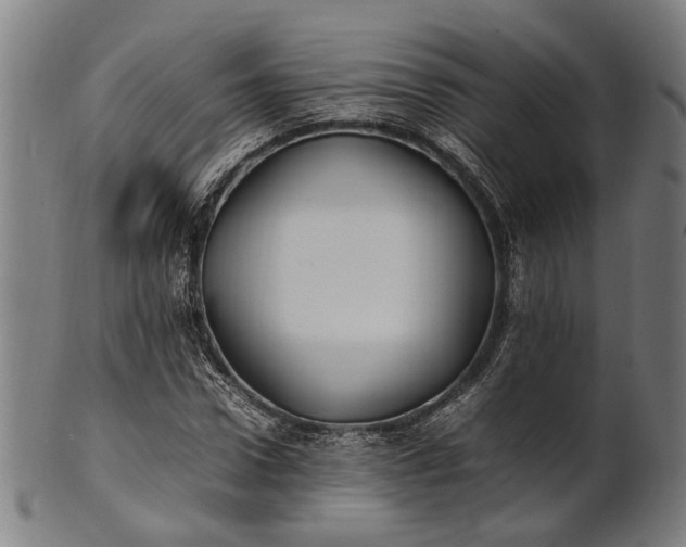 X0000101220922200807111053