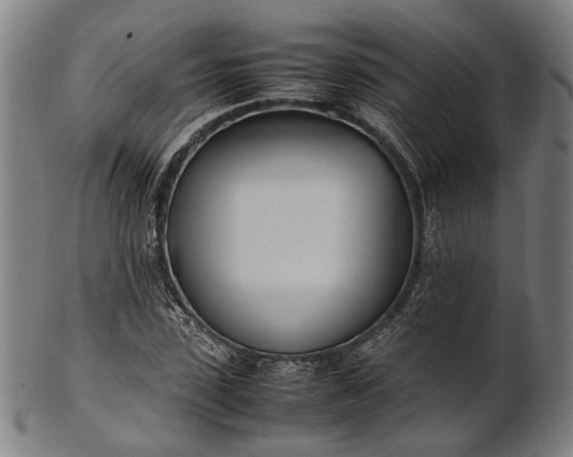 X0000101220923200807111053