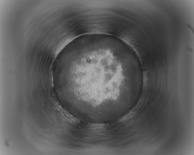 X0000101220925200807111053