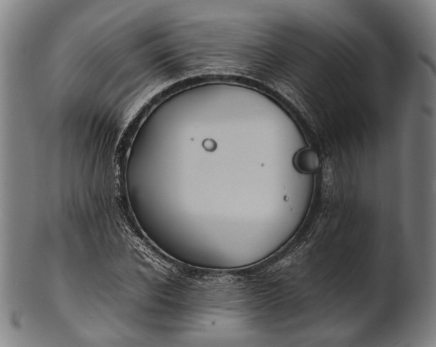 X0000101220926200807111053