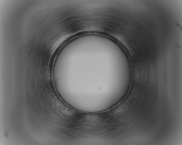 X0000101220927200807111053