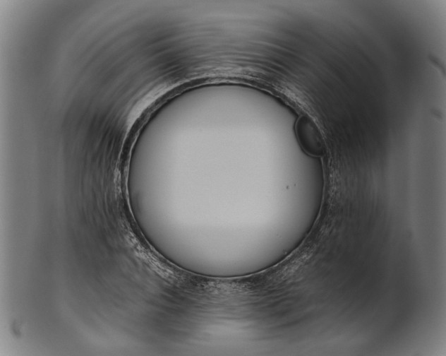 X0000101220928200807111053