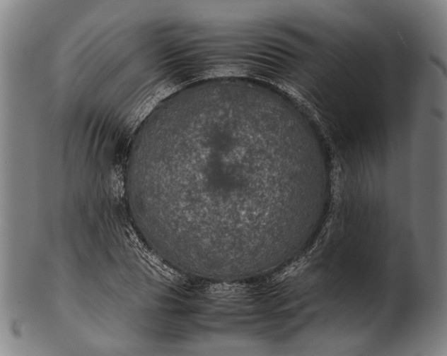 X0000101220929200807111053