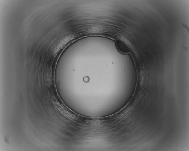 X0000101220930200807111053