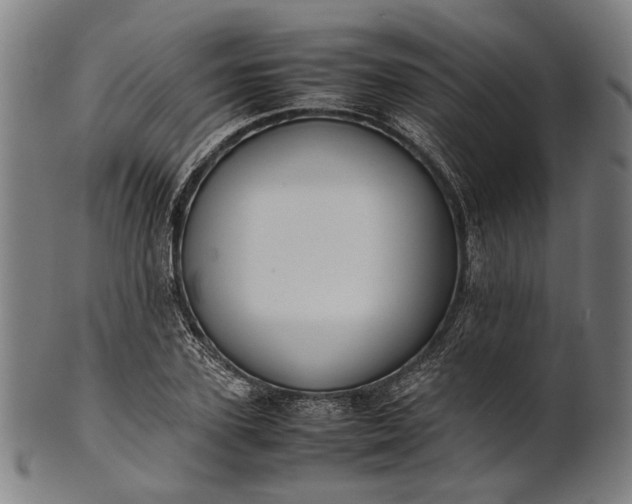 X0000101220931200807111053