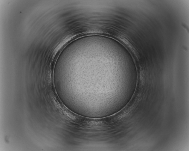 X0000101220933200807111053