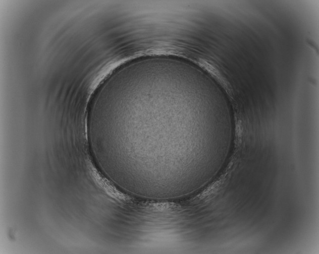 X0000101220934200807111053