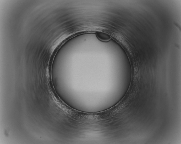 X0000101220936200807111053