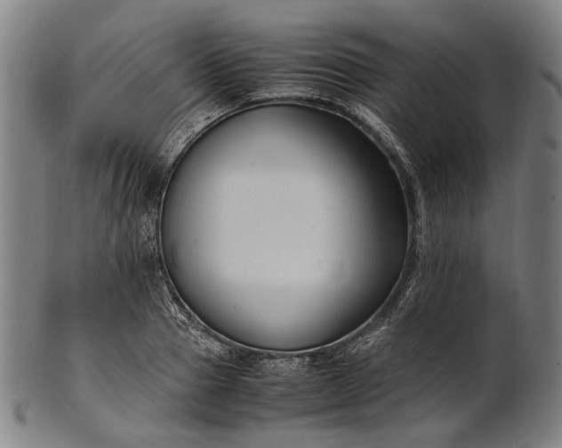 X0000101220937200807111053