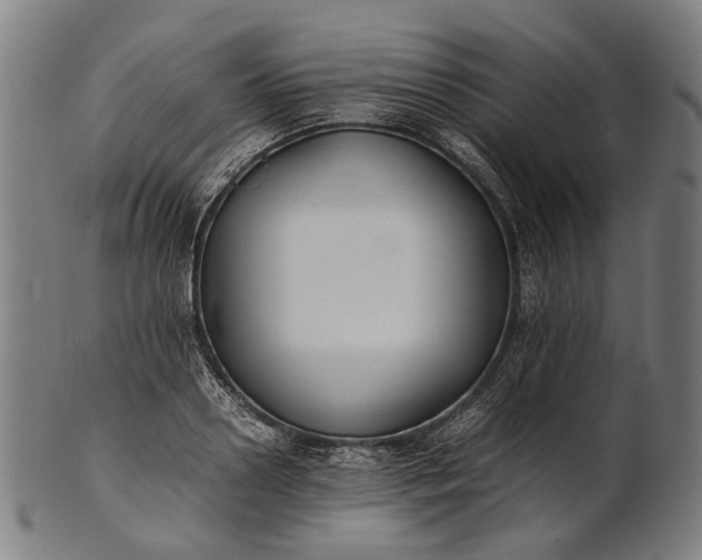 X0000101220938200807111053