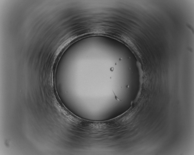 X0000101220939200807111053