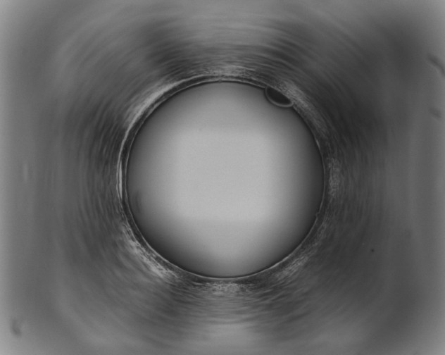 X0000101220940200807111053