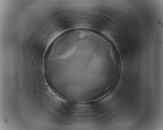 X0000101220941200807111053