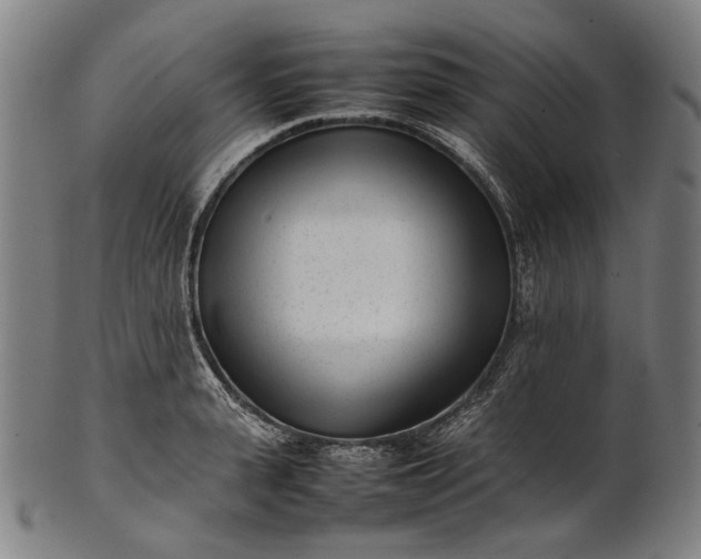X0000101220943200807111053