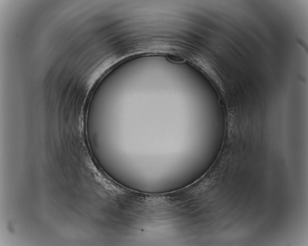 X0000101220944200807111053