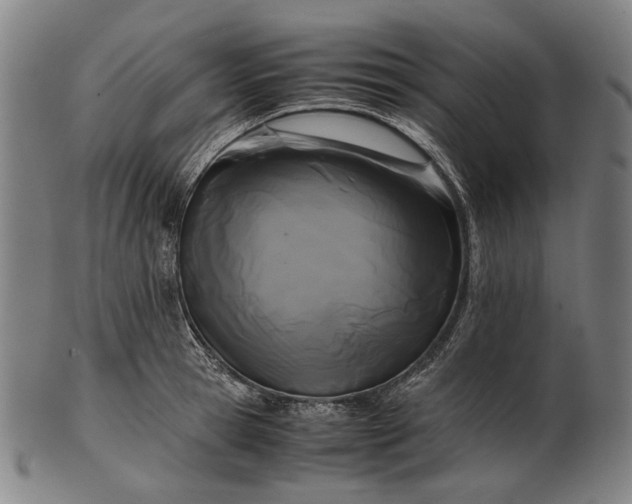 X0000101220945200807111053