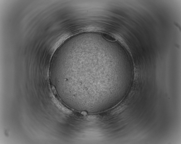 X0000101220946200807111053
