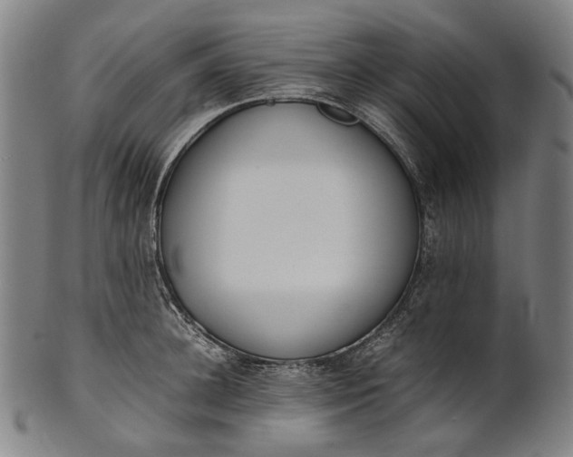 X0000101220948200807111053