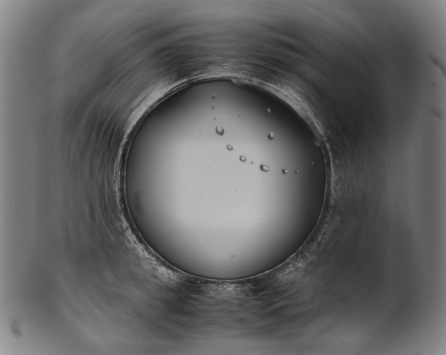 X0000101220949200807111053
