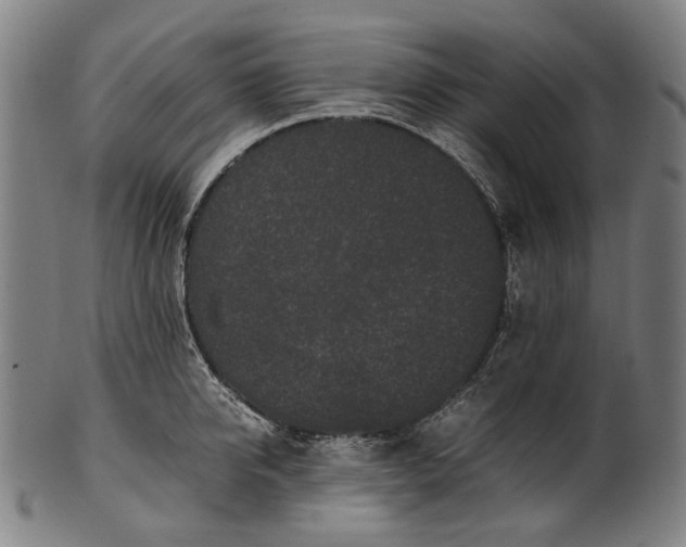 X0000101220950200807111053