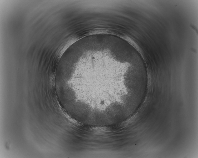 X0000101220953200807111053