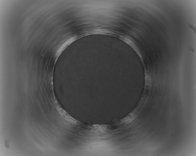 X0000101220954200807111053