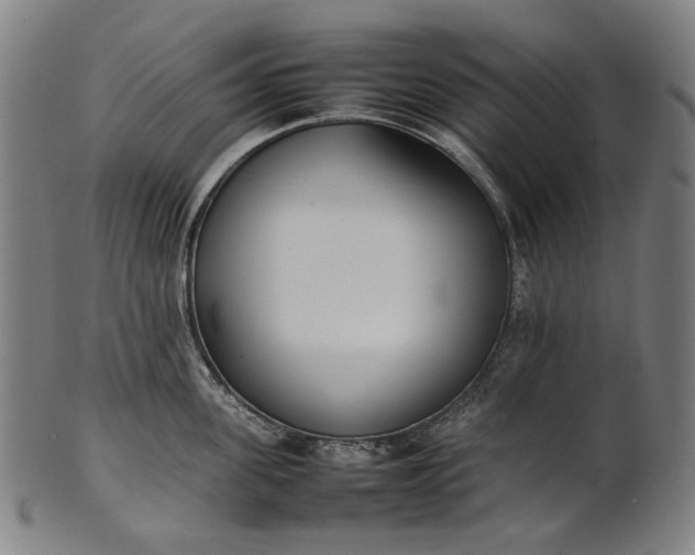 X0000101220955200807111053