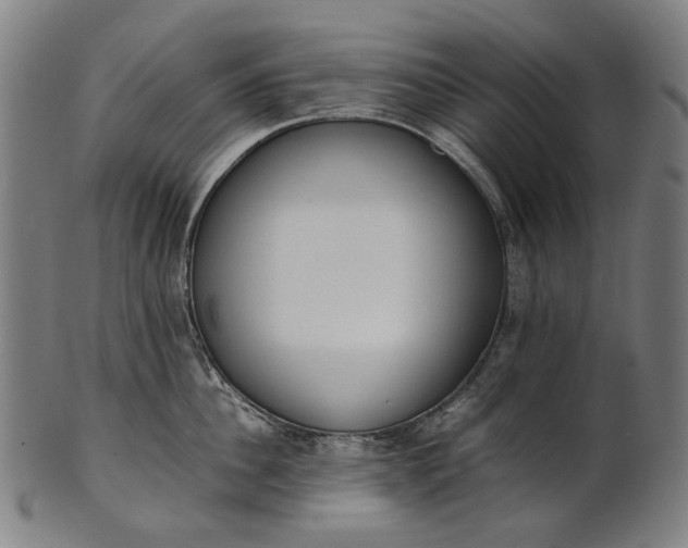 X0000101220956200807111053