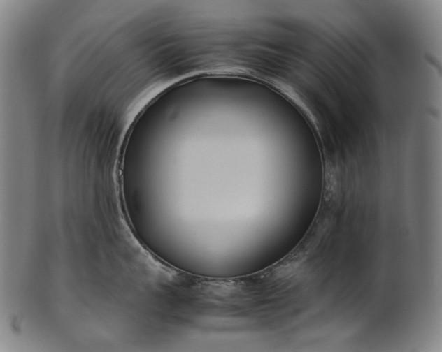 X0000101220959200807111053