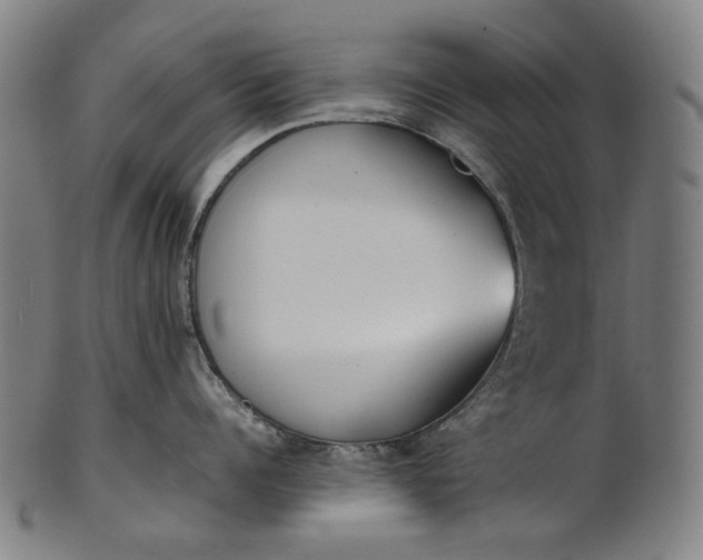 X0000101220960200807111053