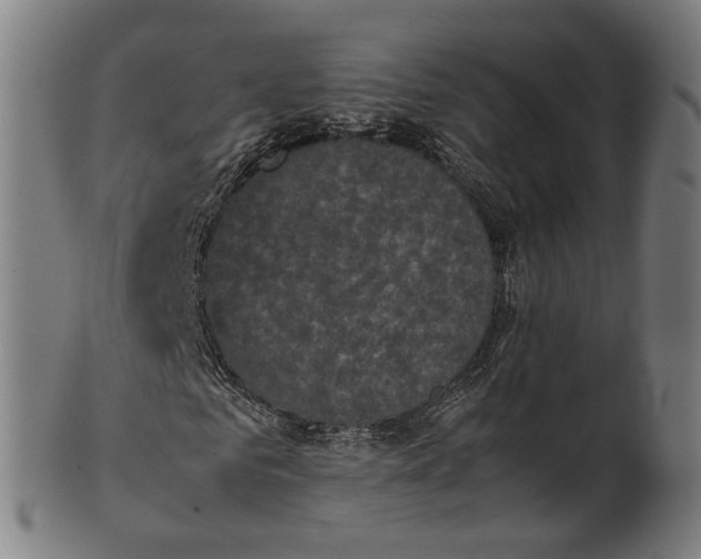 X0000101220961200807111053