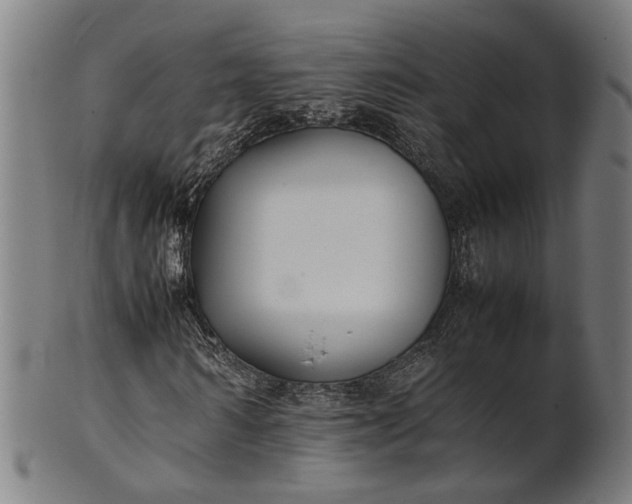 X0000101220962200807111053
