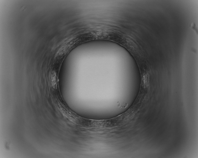 X0000101220963200807111053