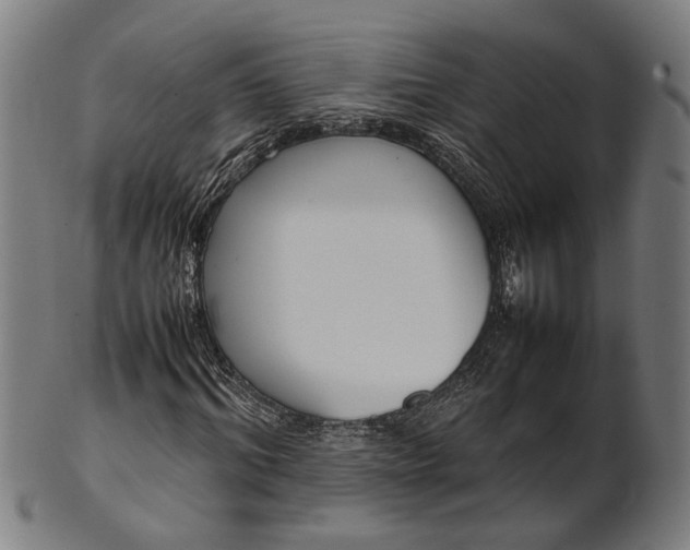 X0000101220964200807111053