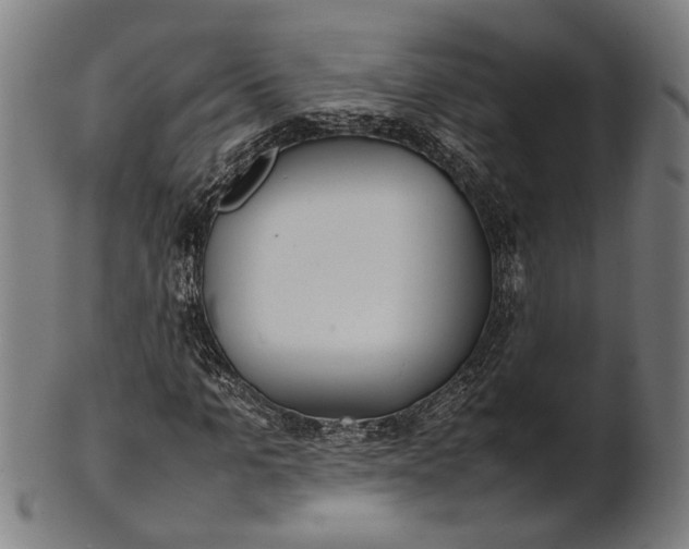 X0000101220965200807111052