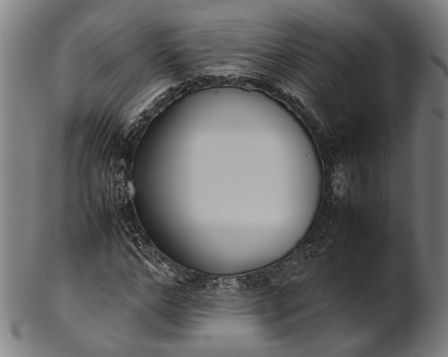 X0000101220968200807111052