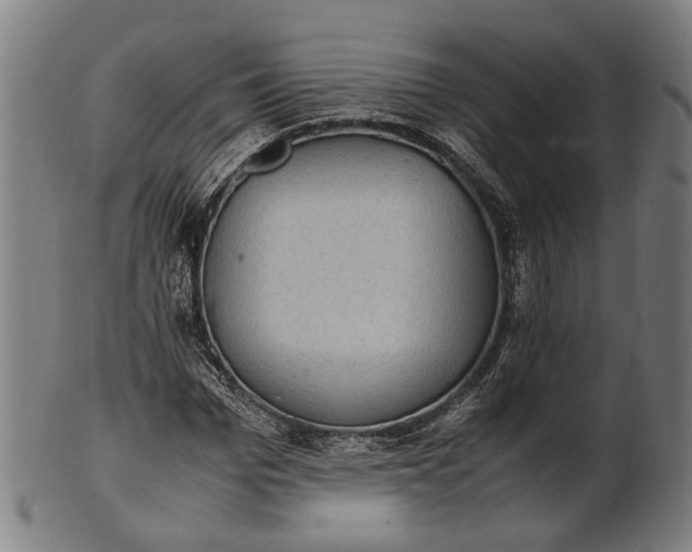 X0000101220969200807111052