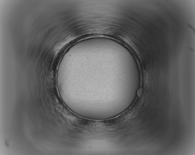 X0000101220971200807111052