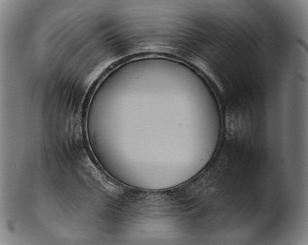 X0000101220972200807111052