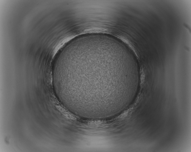 X0000101220973200807111052