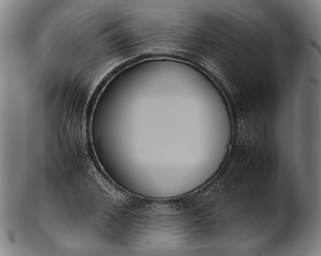 X0000101220976200807111052