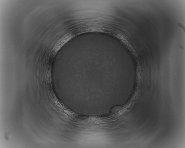 X0000101220977200807111052
