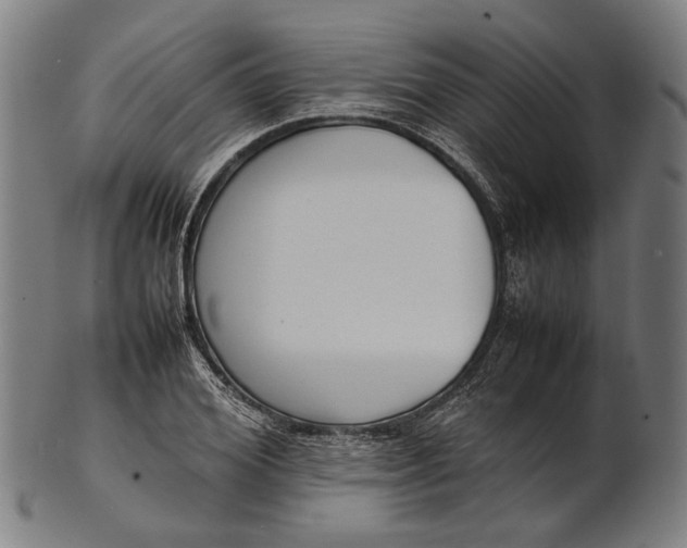 X0000101220980200807111052