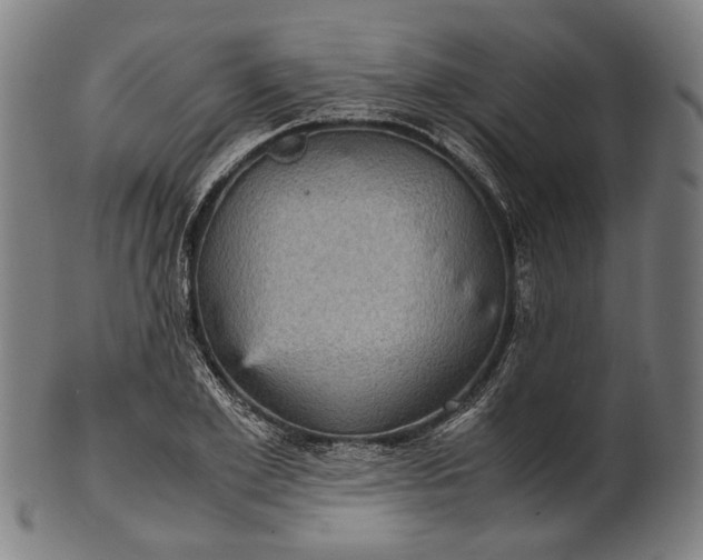 X0000101220981200807111052