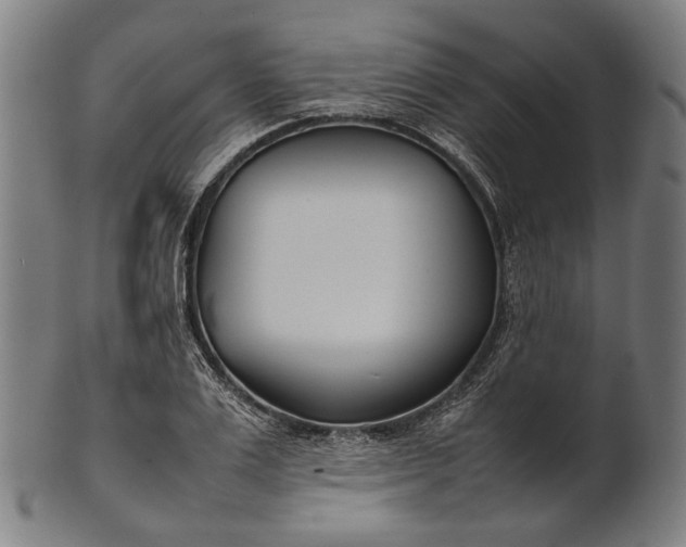 X0000101220983200807111052