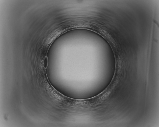 X0000101220985200807111052