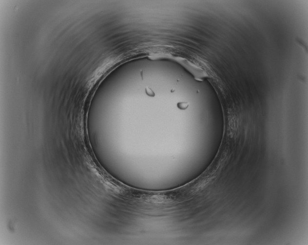 X0000101220986200807111052
