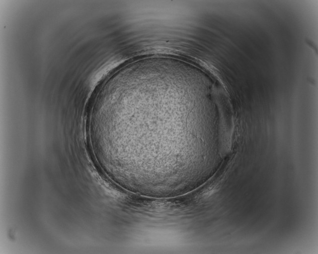 X0000101220987200807111052