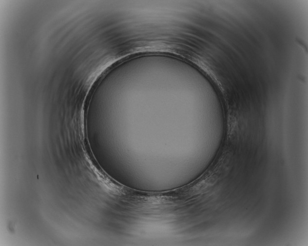 X0000101220988200807111052